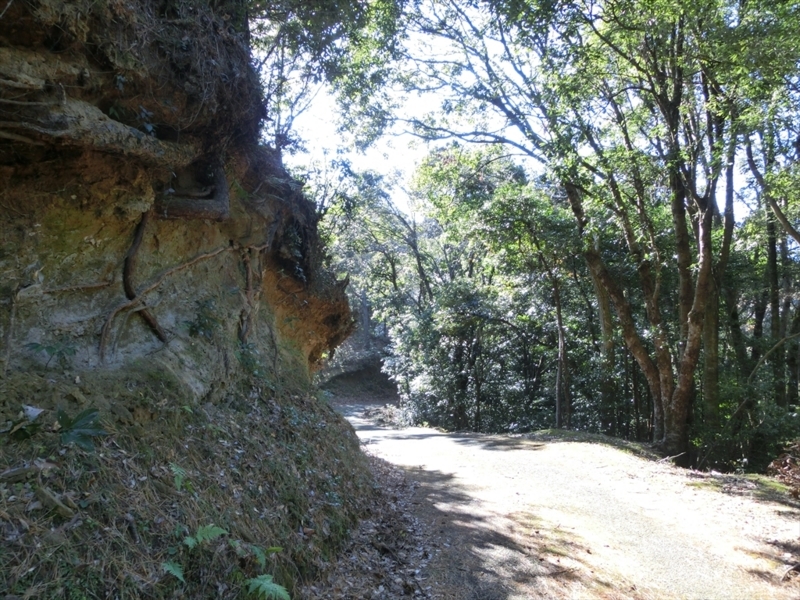 f:id:Margatroid:20171214174850j:plain f:id:Margatroid:20171214174850j:plain