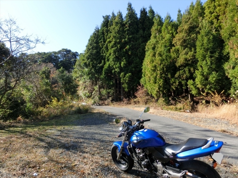 f:id:Margatroid:20171214174851j:plain f:id:Margatroid:20171214174851j:plain