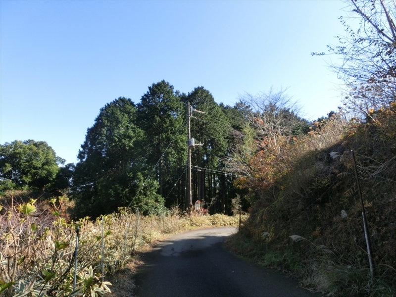 f:id:Margatroid:20171214174853j:plain f:id:Margatroid:20171214174853j:plain