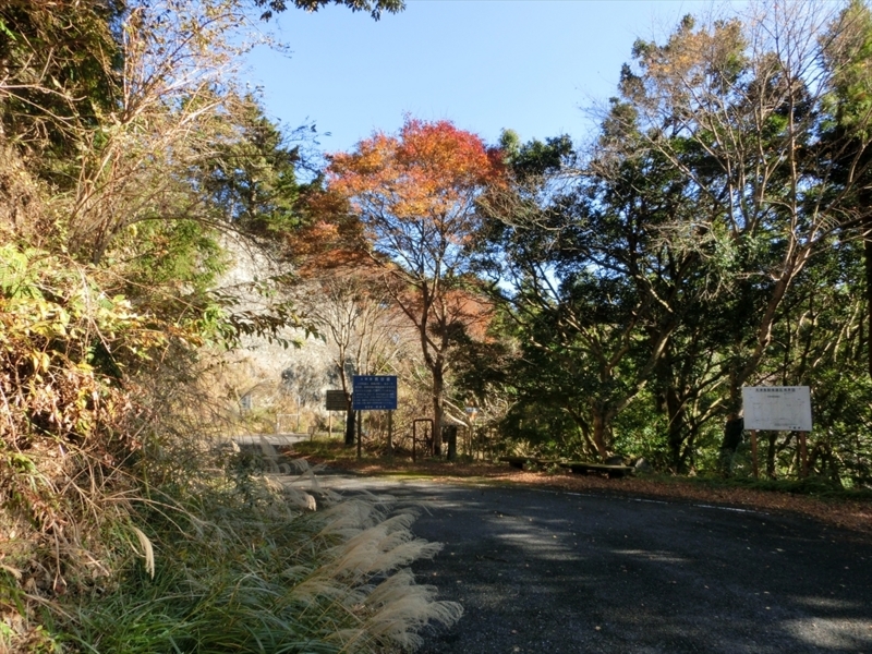 f:id:Margatroid:20171214174856j:plain f:id:Margatroid:20171214174856j:plain