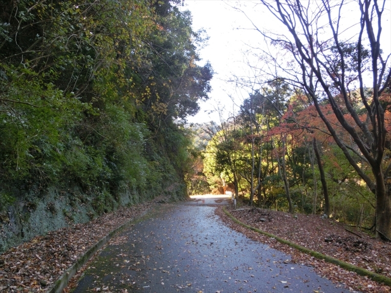 f:id:Margatroid:20171214174903j:plain f:id:Margatroid:20171214174903j:plain