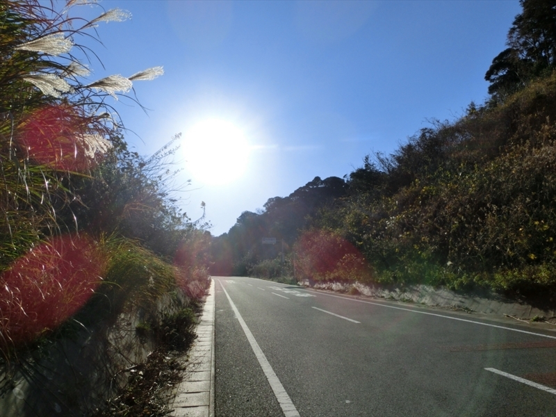 f:id:Margatroid:20171214174914j:plain f:id:Margatroid:20171214174914j:plain