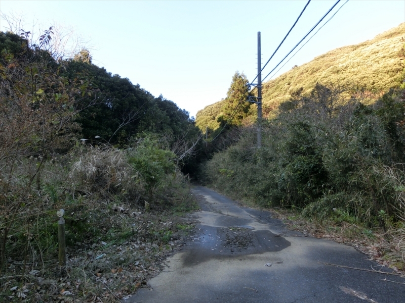 f:id:Margatroid:20171214174925j:plain f:id:Margatroid:20171214174925j:plain