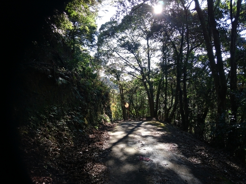 f:id:Margatroid:20171214214203j:plain f:id:Margatroid:20171214214203j:plain