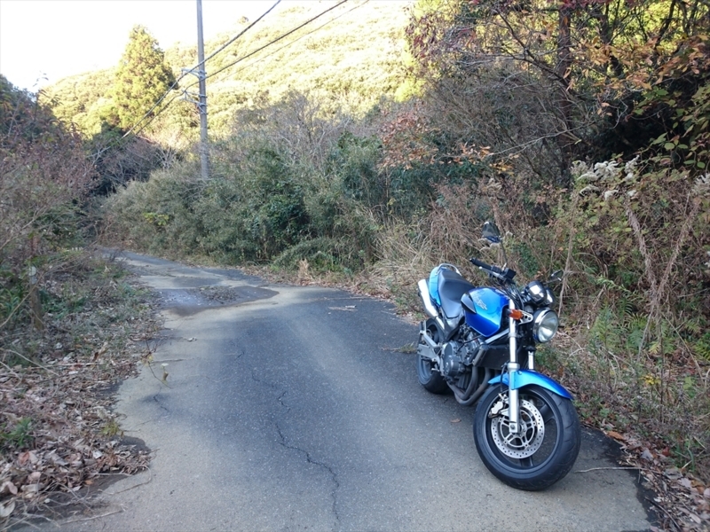 f:id:Margatroid:20171214214207j:plain f:id:Margatroid:20171214214207j:plain