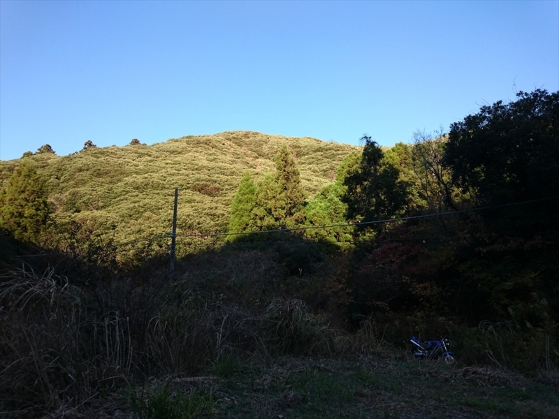 f:id:Margatroid:20171214214208j:plain f:id:Margatroid:20171214214208j:plain