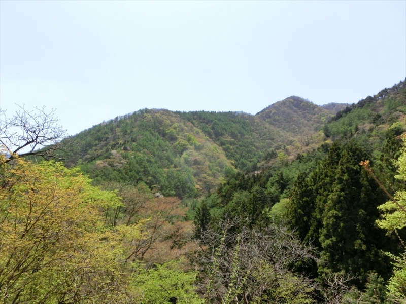 f:id:Margatroid:20180127113347j:plain