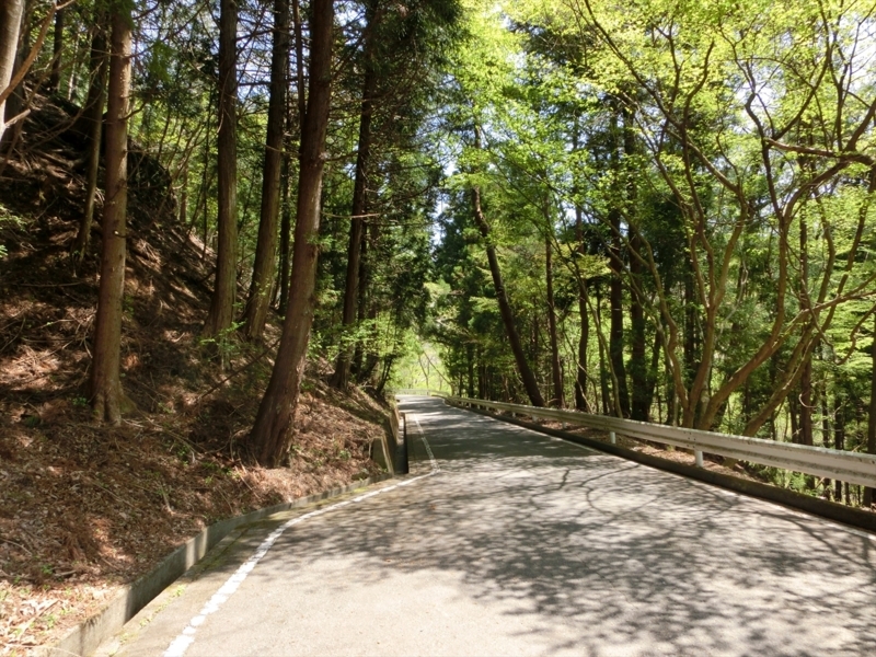 f:id:Margatroid:20180127113348j:plain