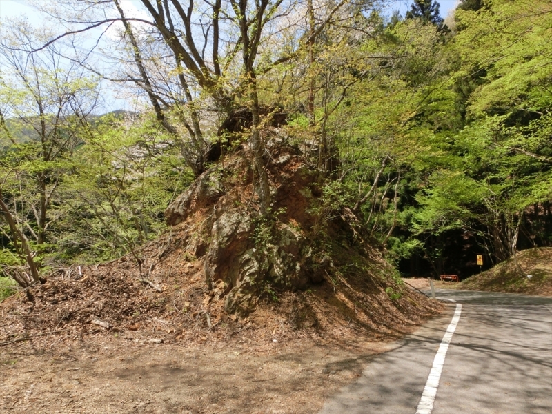 f:id:Margatroid:20180127113349j:plain