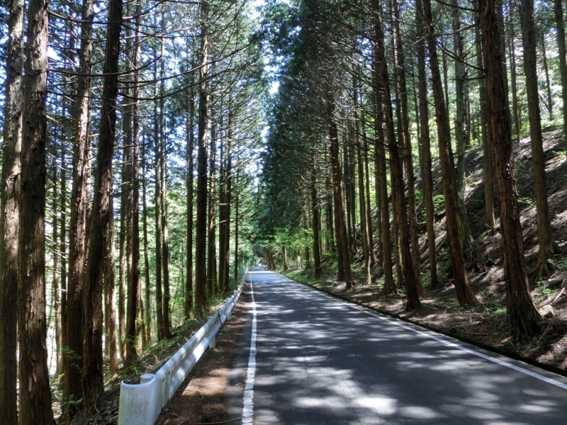 f:id:Margatroid:20180127113350j:plain