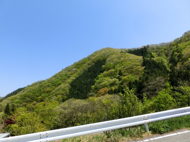 f:id:Margatroid:20180127113351j:plain