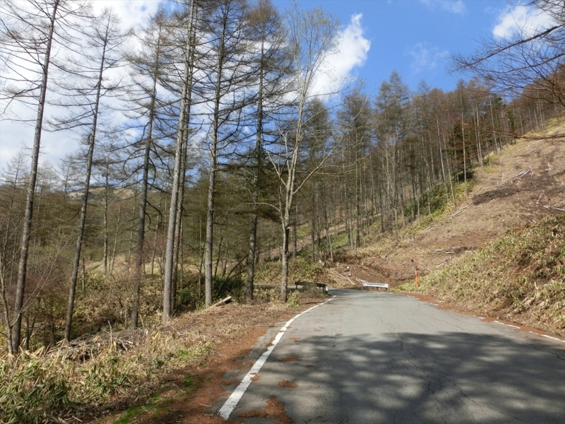 f:id:Margatroid:20180127113404j:plain