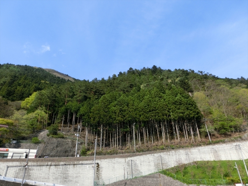 f:id:Margatroid:20180127113425j:plain