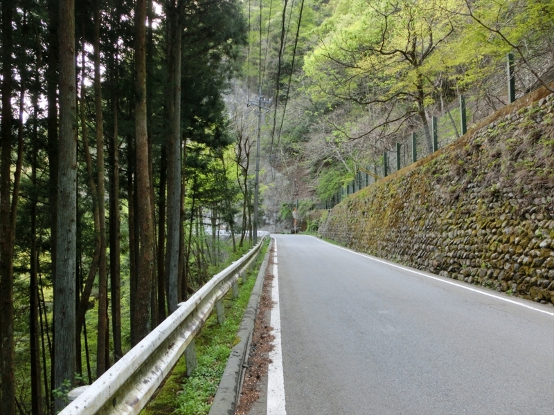 f:id:Margatroid:20180127113428j:plain