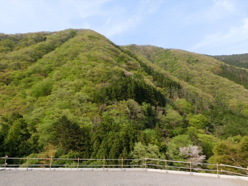 f:id:Margatroid:20180127113437j:plain