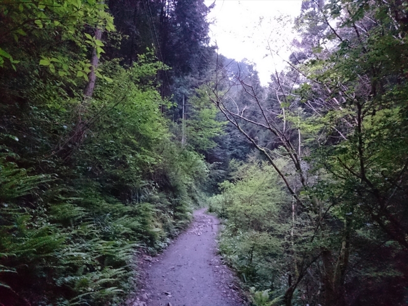 f:id:Margatroid:20180127113447j:plain