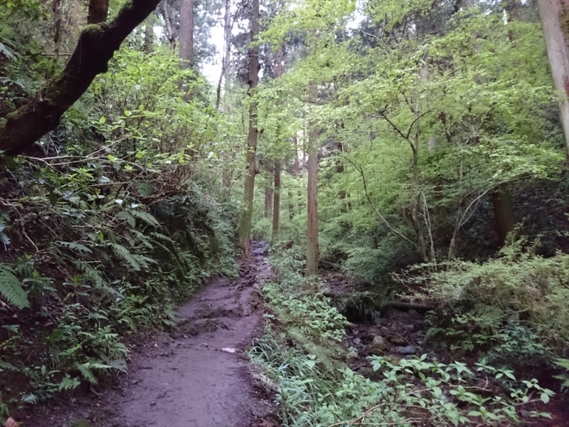 f:id:Margatroid:20180127113449j:plain