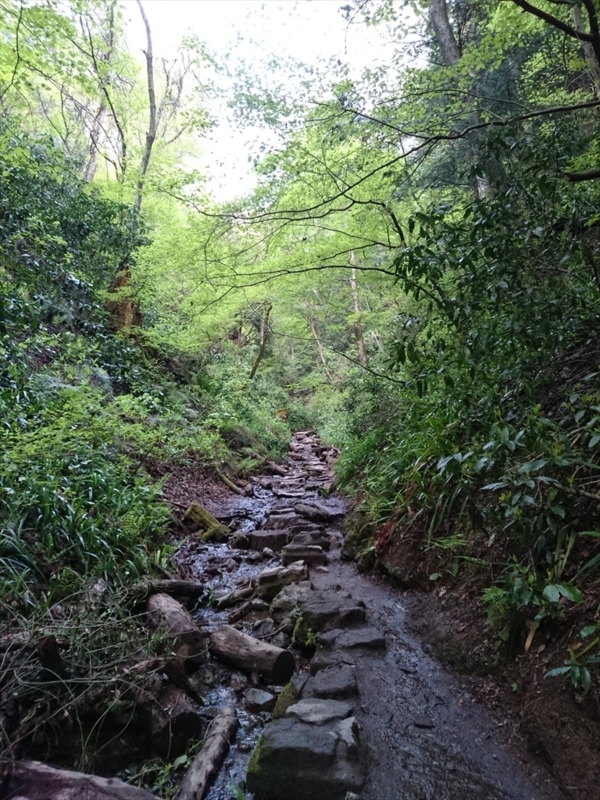 f:id:Margatroid:20180127113450j:plain