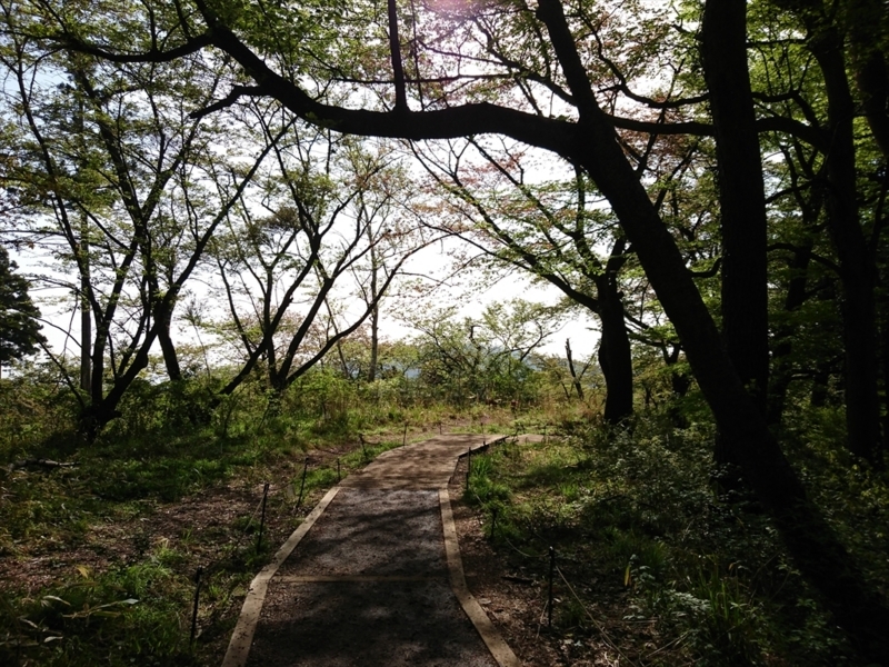 f:id:Margatroid:20180127113500j:plain