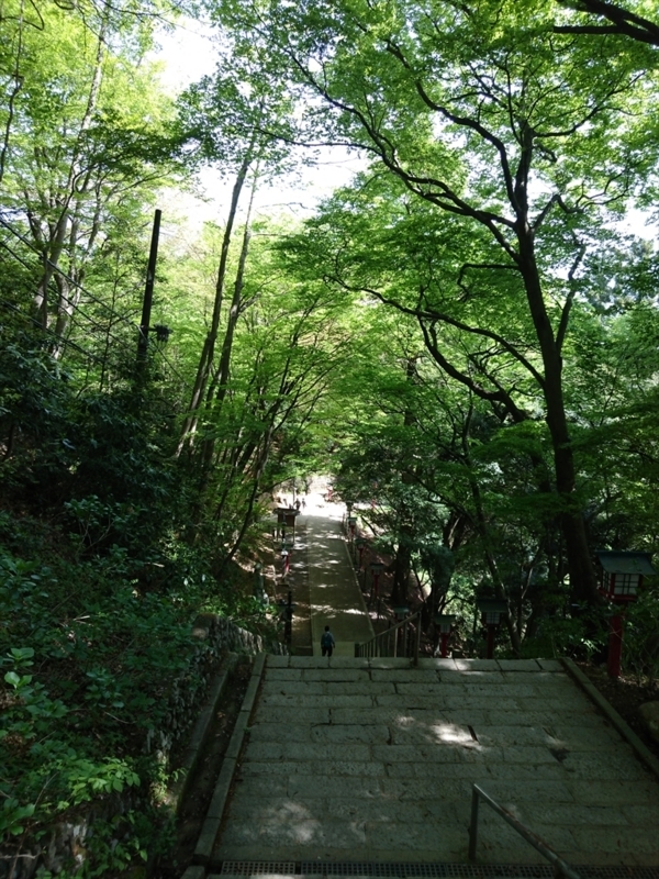 f:id:Margatroid:20180127113503j:plain