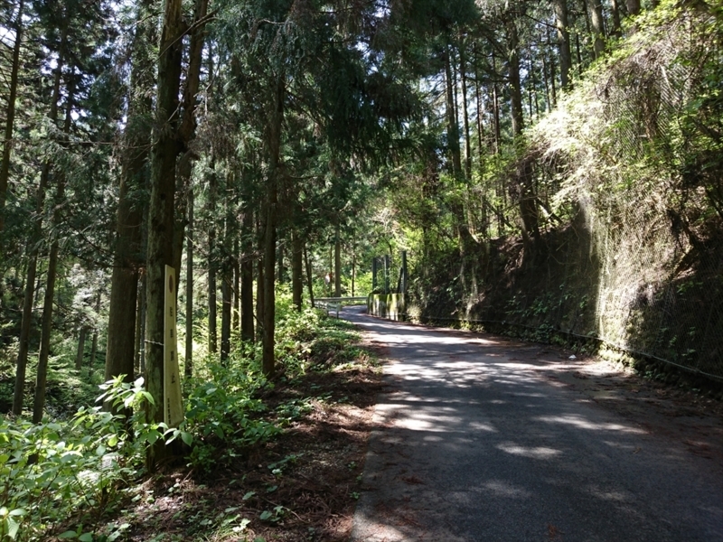 f:id:Margatroid:20180127113507j:plain