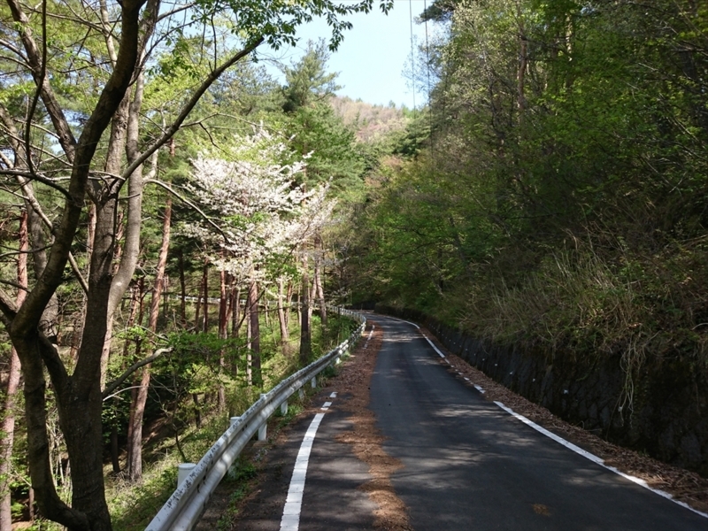 f:id:Margatroid:20180127113514j:plain