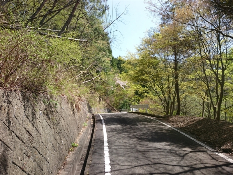 f:id:Margatroid:20180127113515j:plain