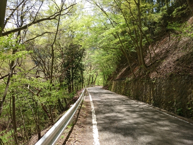 f:id:Margatroid:20180127113520j:plain