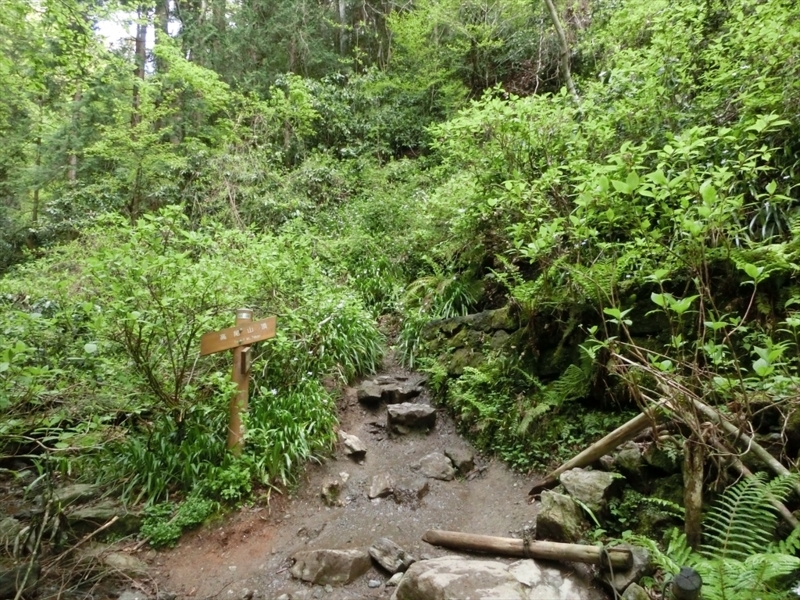 f:id:Margatroid:20180127142551j:plain