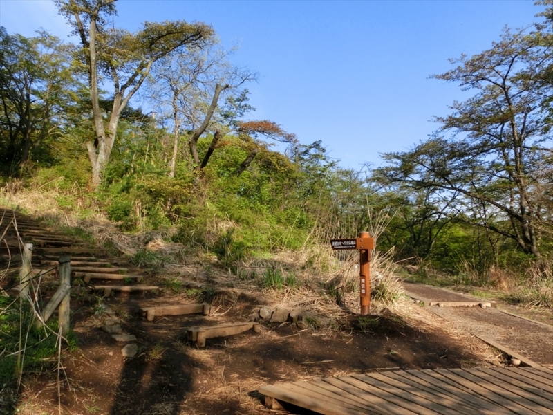 f:id:Margatroid:20180127142553j:plain