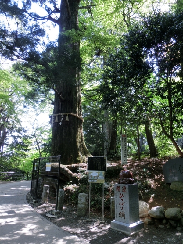 f:id:Margatroid:20180127142555j:plain