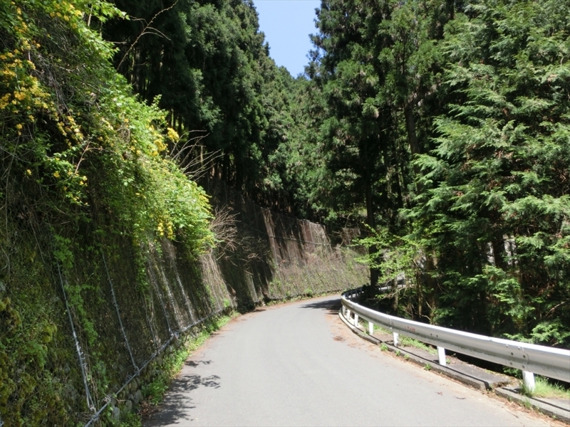 f:id:Margatroid:20180127142557j:plain