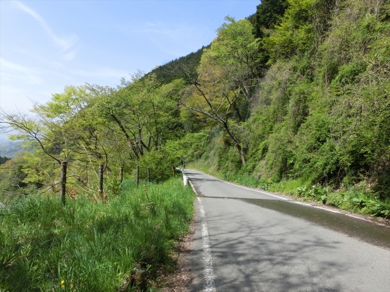 f:id:Margatroid:20180127142559j:plain