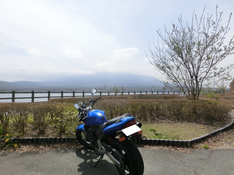 f:id:Margatroid:20180128162334j:plain