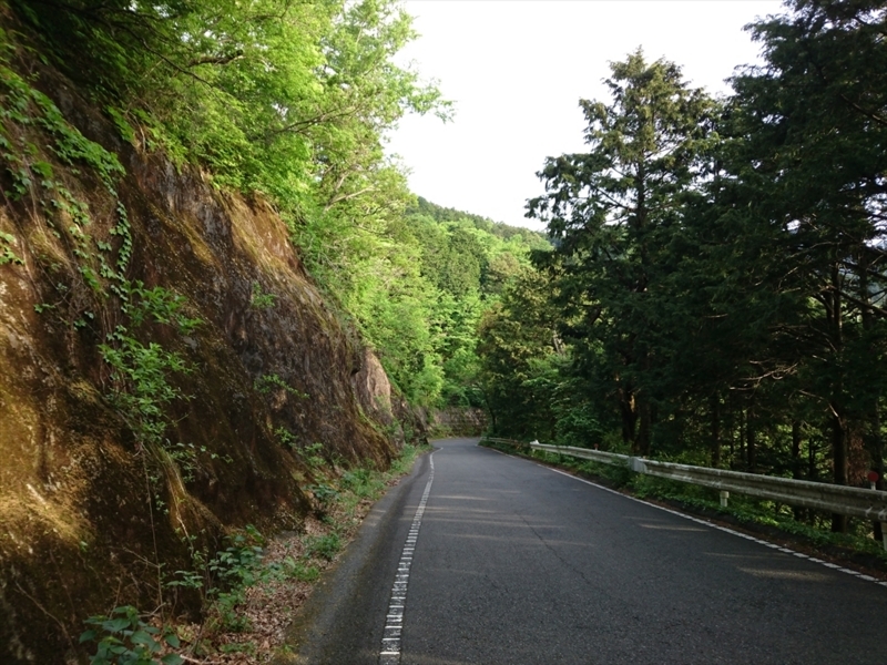 f:id:Margatroid:20180504111636j:plain f:id:Margatroid:20180504111636j:plain