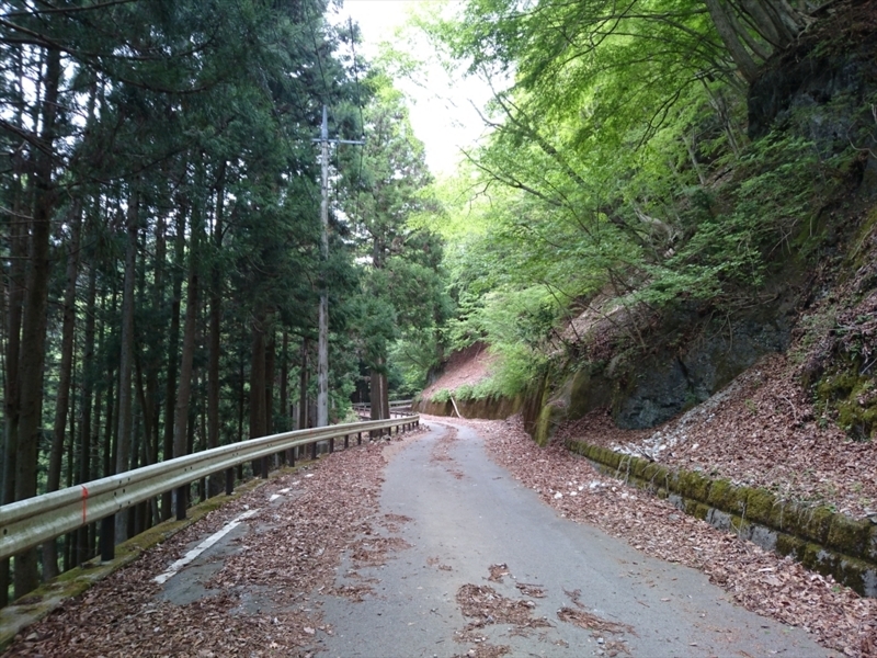 f:id:Margatroid:20180504111640j:plain f:id:Margatroid:20180504111640j:plain
