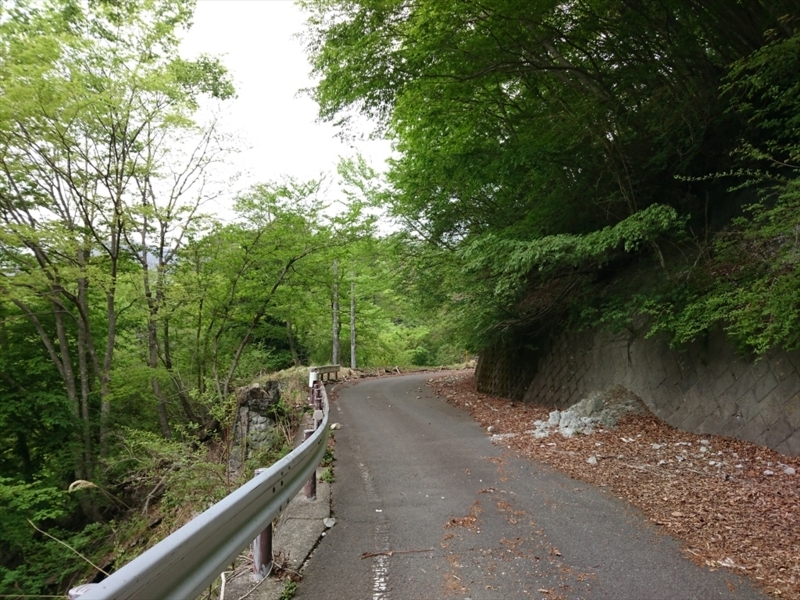 f:id:Margatroid:20180504111641j:plain f:id:Margatroid:20180504111641j:plain