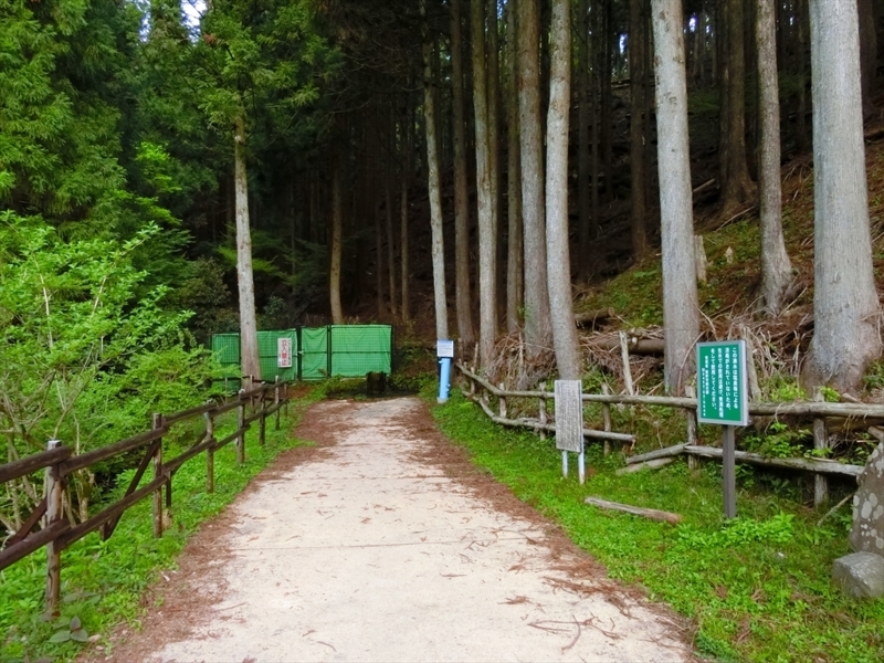 f:id:Margatroid:20180504111736j:plain f:id:Margatroid:20180504111736j:plain