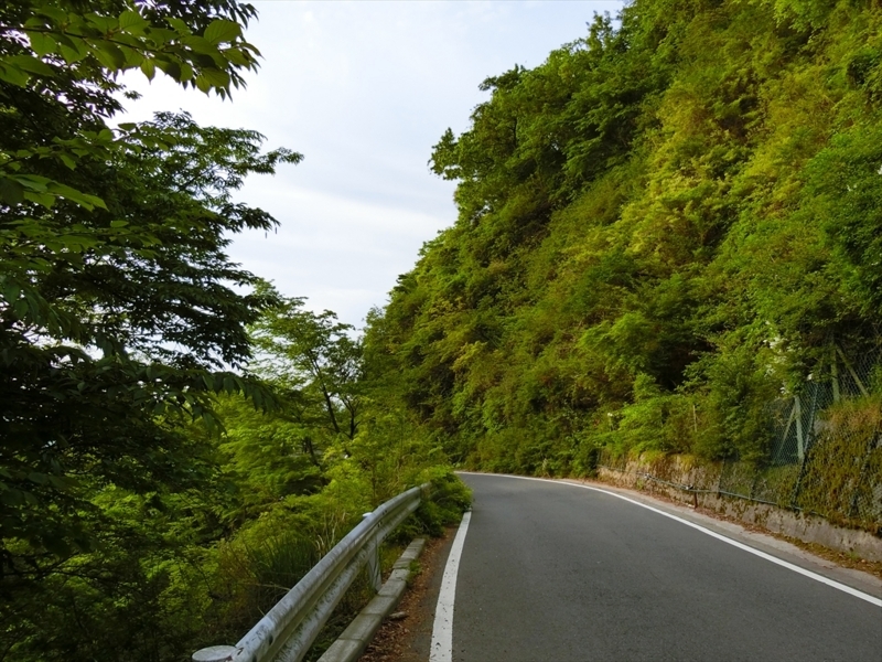 f:id:Margatroid:20180504111747j:plain f:id:Margatroid:20180504111747j:plain