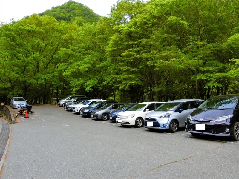 f:id:Margatroid:20180504111806j:plain f:id:Margatroid:20180504111806j:plain