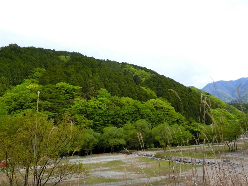 f:id:Margatroid:20180504111810j:plain f:id:Margatroid:20180504111810j:plain