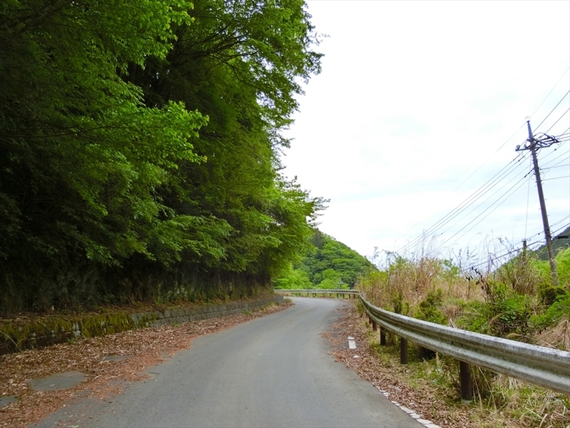f:id:Margatroid:20180504111817j:plain f:id:Margatroid:20180504111817j:plain