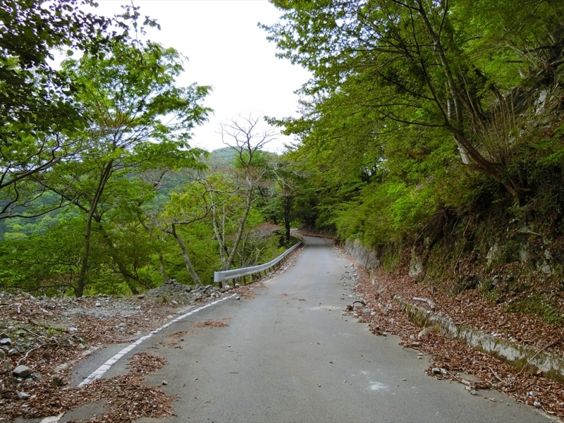 f:id:Margatroid:20180504111826j:plain f:id:Margatroid:20180504111826j:plain