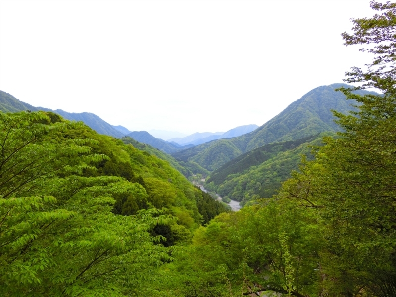 f:id:Margatroid:20180504111832j:plain f:id:Margatroid:20180504111832j:plain