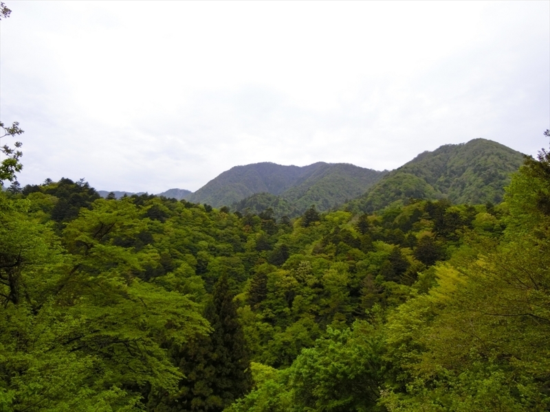 f:id:Margatroid:20180504111835j:plain f:id:Margatroid:20180504111835j:plain
