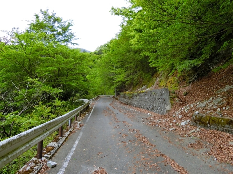 f:id:Margatroid:20180504111845j:plain f:id:Margatroid:20180504111845j:plain