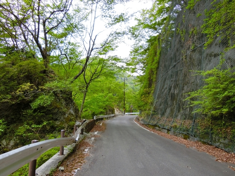 f:id:Margatroid:20180504111849j:plain f:id:Margatroid:20180504111849j:plain