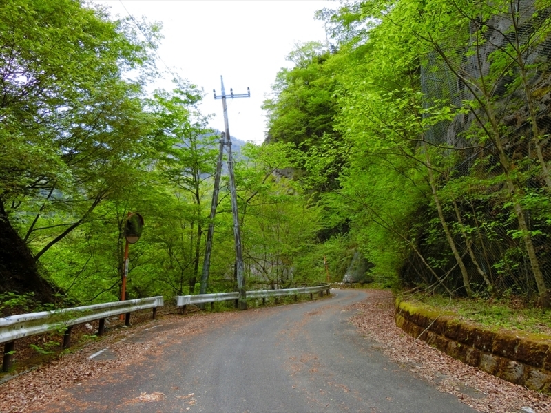 f:id:Margatroid:20180504111851j:plain f:id:Margatroid:20180504111851j:plain