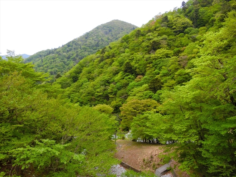 f:id:Margatroid:20180504111855j:plain f:id:Margatroid:20180504111855j:plain
