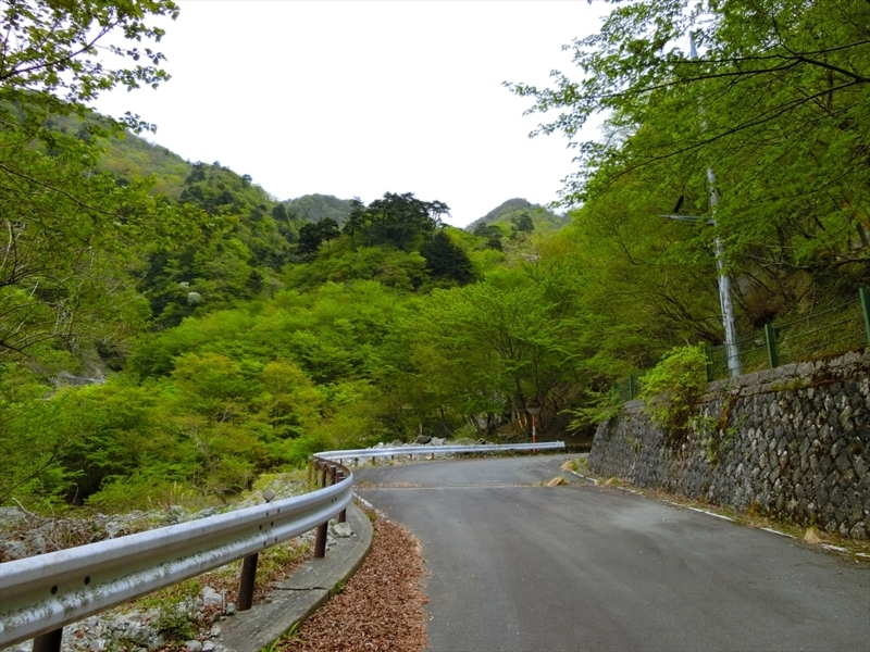 f:id:Margatroid:20180504111856j:plain f:id:Margatroid:20180504111856j:plain